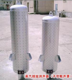 蒸汽排放消声器